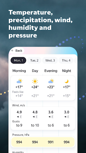 Weather by Meteum PC