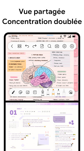 Freenotes : Notes IA & PDF PC