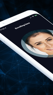 Face as a Ticket PC版