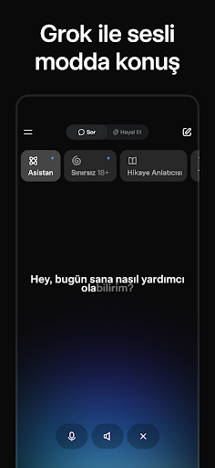 Grok - Yapay Zeka Asistanı PC