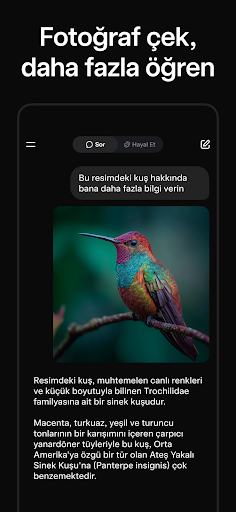 Grok - Yapay Zeka Asistanı PC