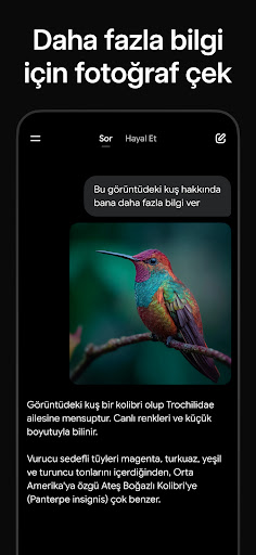 Grok - Yapay Zeka Asistanı