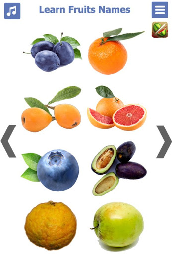 Learn Fruits name in English PC