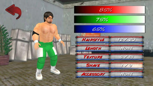 Wrestling Revolution 3D