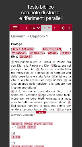 Bibbia NTVi e Nuova Riveduta PC