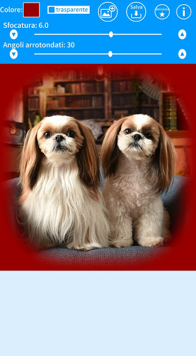 Bordi Sfumati ad una Foto PC