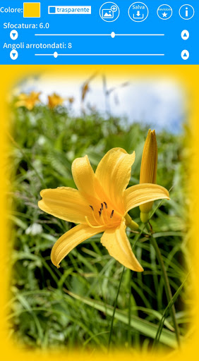 Bordi Sfumati ad una Foto PC