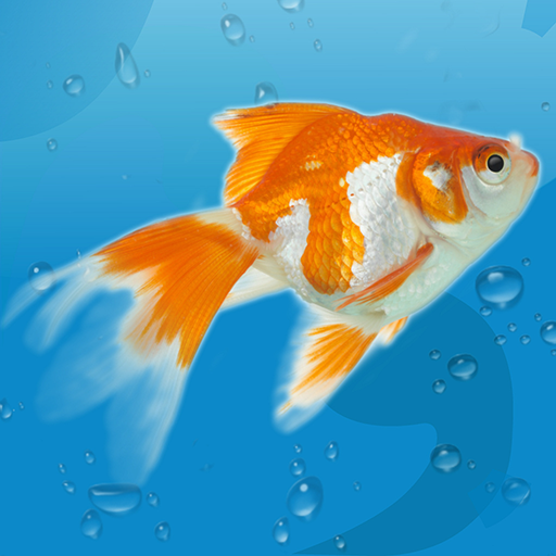 AquaLife 3D ПК