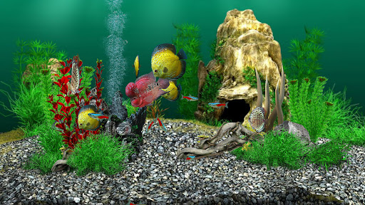 AquaLife 3D ПК