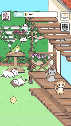 飼い猫ぐらし -かわいい動物育成ゲーム電腦版