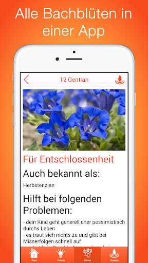 Bachblüten für Kinder PC
