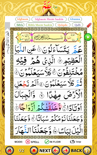 Juz Amma with Hijje (PARA 30) پی سی