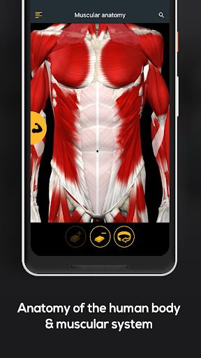 Anatomy by Muscle & Motion PC