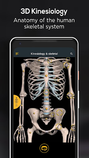 Anatomy by Muscle & Motion PC