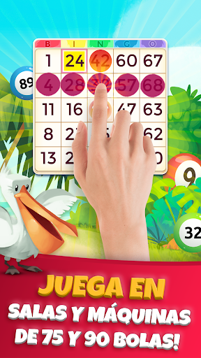 Praia Bingo: Tombola online PC