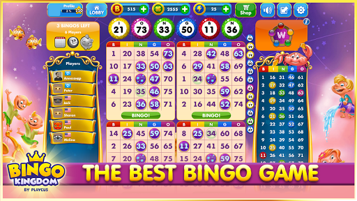 Bingo Kingdom: Bingo Online PC