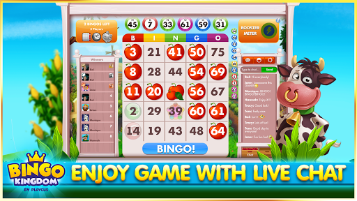 Bingo Kingdom: Bingo Online PC