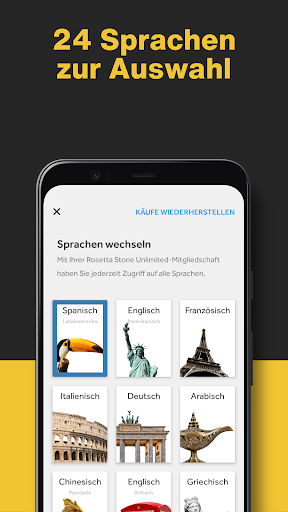 Rosetta Stone: Sprachen lernen PC