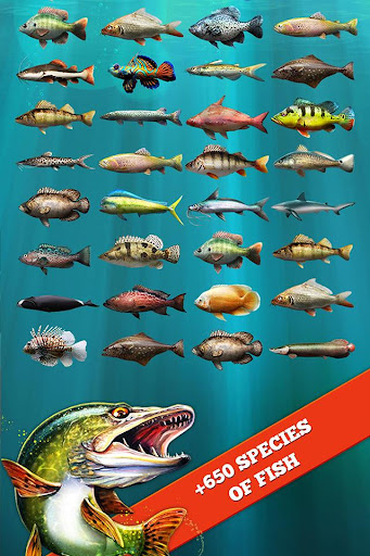 komputer Let's Fish: Fishing Simulator