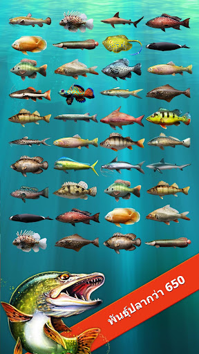 Let's Fish: เกมตกปลา PC