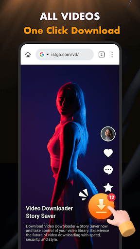 Video Downloader & Story Saver PC