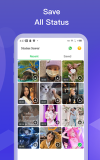 All Video Downloader PC