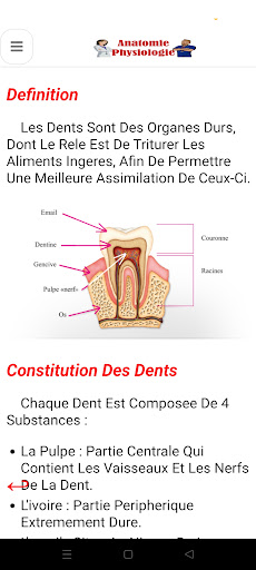 Anatomie - Physiologie