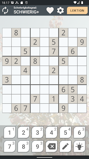 Sudoku Erstklassig PC