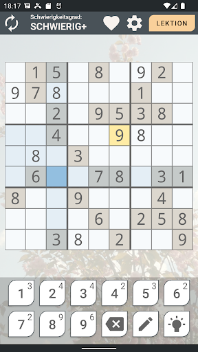 Sudoku Erstklassig PC