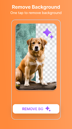 Poster Maker - Flyer Creator, PC版