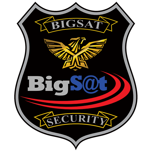 BigS@t