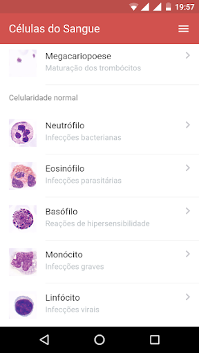 Células do Sangue para PC