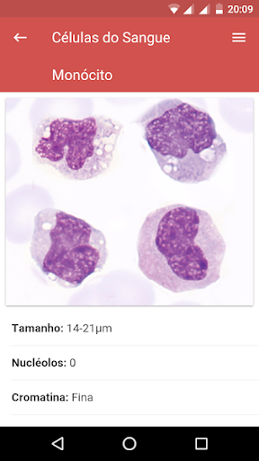 Células do Sangue para PC