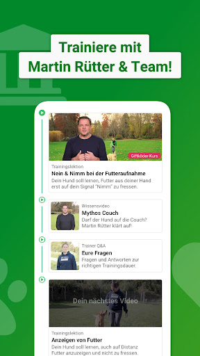 Dogorama – Die Hunde-Community PC