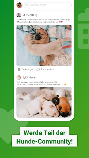 Dogorama – Die Hunde-Community PC