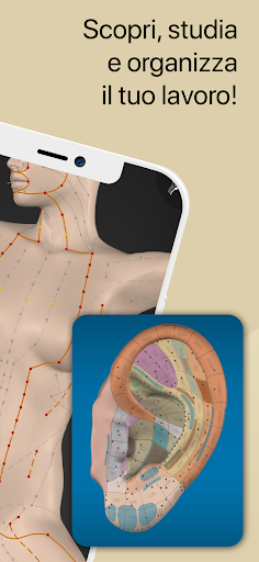 iaomai: Agopuntura e Auricolo PC