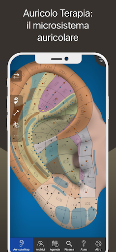 iaomai: Agopuntura e Auricolo PC