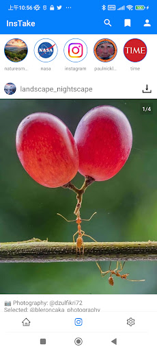 ดาวน์โหลด : Instagram Reels PC