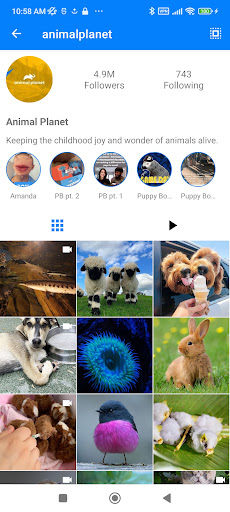 ดาวน์โหลด : Instagram Reels PC
