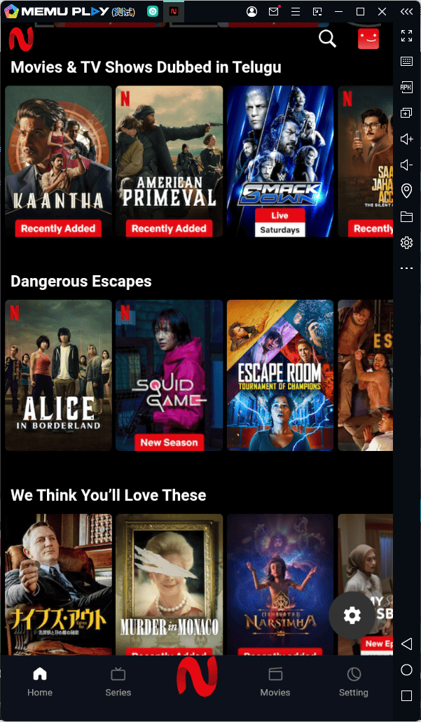 NetMirror - Movies and Series PC