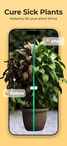 Plantora- Plant Identify, Care PC