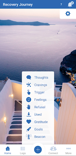 Recovery Connect PC版