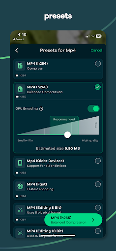 Video Converter - Remux