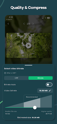 Video Converter - Remux