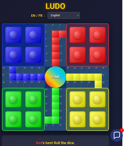Ludo Pro