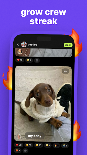 yope: photo wall with friends