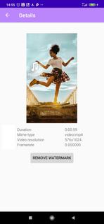 Watermark remover for TikTok PC