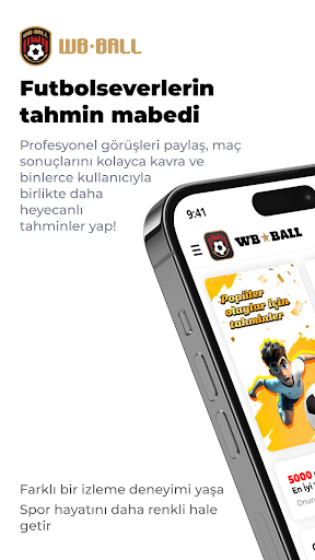 WBBALL PC