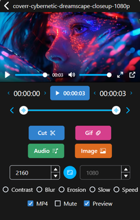 Video to GIF, MP4, MP3 PC