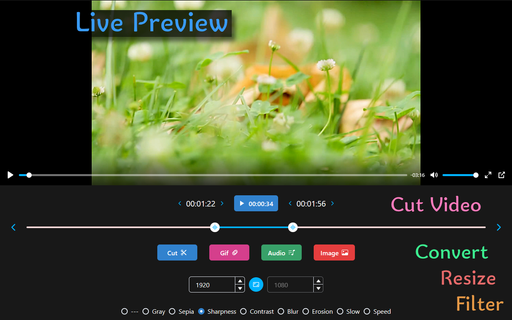 Video to GIF, MP4, MP3 PC